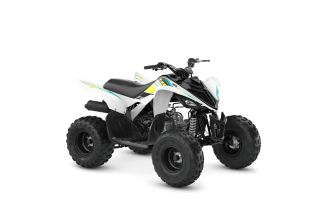 Yamaha yfm 90r