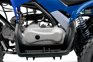 Yamaha yfm90r motor
