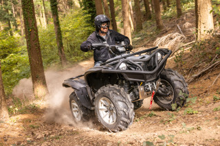 Yamaha Grizzly