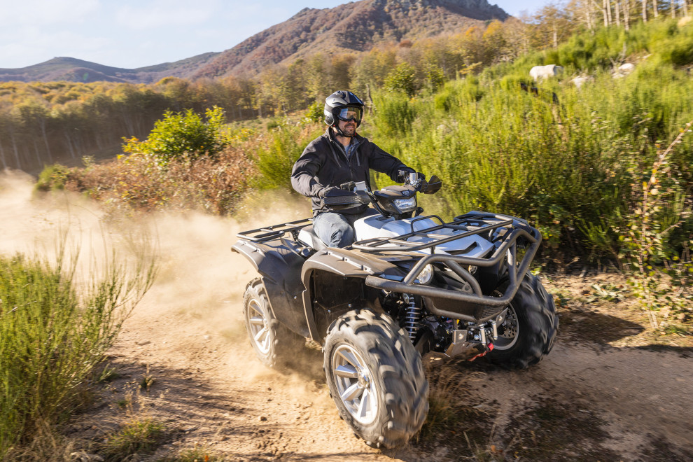 Yamaha Grizzly