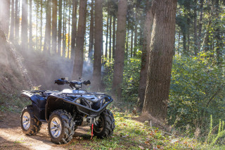Yamaha Grizzly