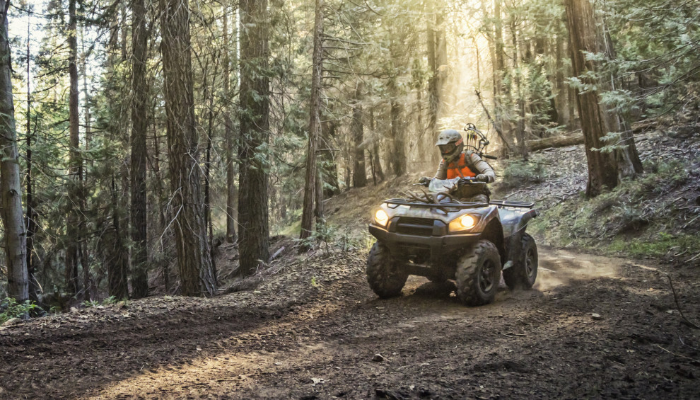 Can am quad Brute force 750 in het bos