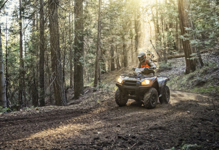 Can am quad Brute force 750 in het bos
