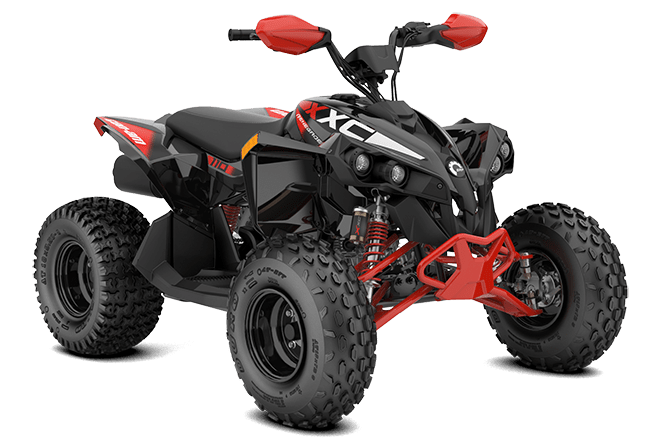 Can-am Renegade X XC 110