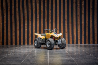 Suzuki LT-Z50