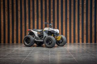 Can-am Renegade 110