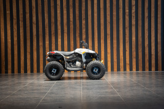 Can-am Renegade 110