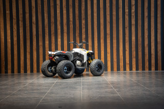 Can-am Renegade 110