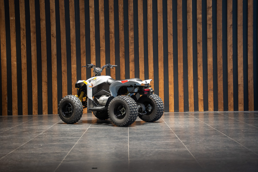 Can-am Renegade 110