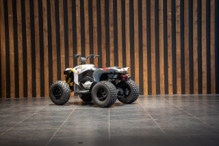 Can-am Renegade 110