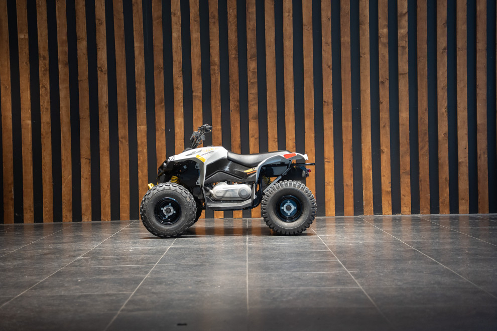 Can-am Renegade 110