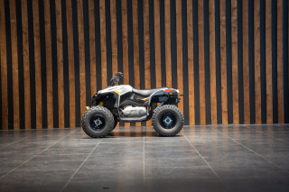 Can-am Renegade 110
