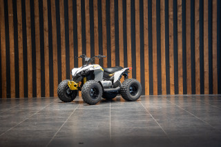 Can-am Renegade 110