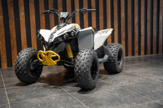 Can-am Renegade 110